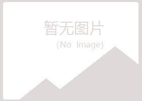 玉门冰夏化学有限公司